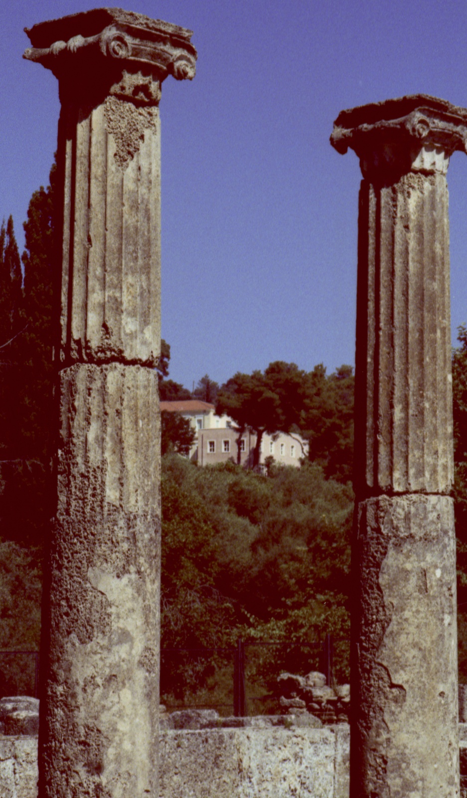 Olympia, cross process technique